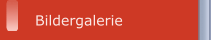 Bildergalerie